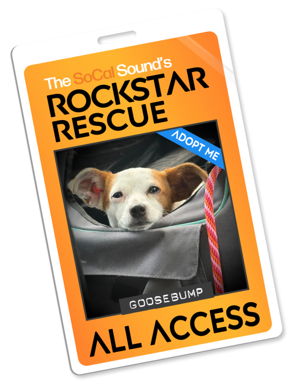 KCSN RockstarRescue PotW 061726 Pass