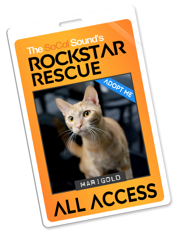 KCSN RockstarRescue PotW 070826 Pass 1