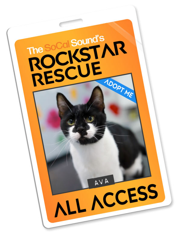 KCSN RockstarRescue PotW 072926 Pass