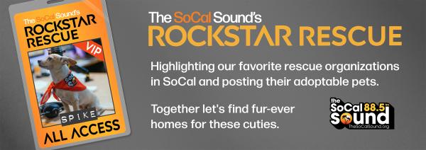 KCSN RockstarRescue General 071425 6 1130x407