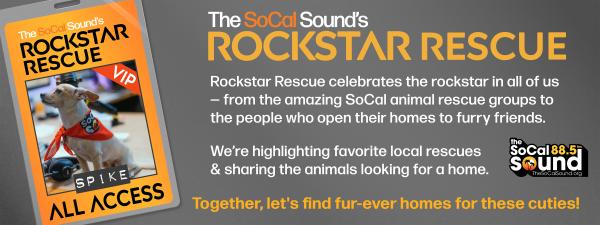 KCSN RockstarRescue General 071525 9 1920x721