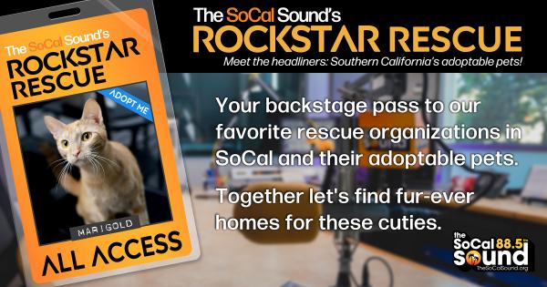 KCSN RockstarRescue PotW 070826 CreateOutlines FACEBOOK 1200x630 2