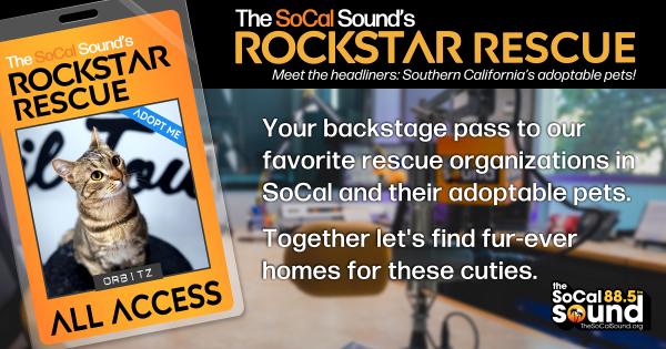 KCSN RockstarRescue PotW 071526 CreateOutlines FACEBOOK 1200x631