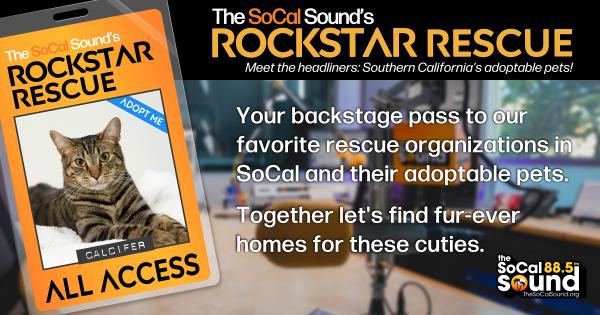 KCSN RockstarRescue PotW 072226 CreateOutlines FACEBOOK 1200x631