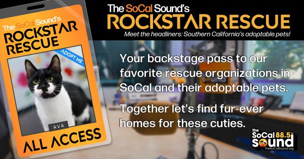 KCSN RockstarRescue PotW 072926 CreateOutlines FACEBOOK 1200x630
