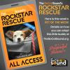 This JRT mix has a heart full of love to give - GOOSEBUMP - our PET OF THE WEEK!