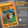 08.27: PET OF THE WEEK - BEAR!