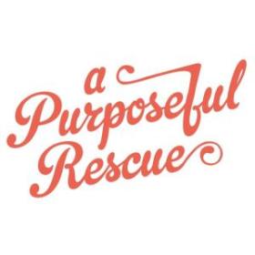 A Purposeful Rescue